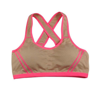 Padded High Stretch Sports Bra