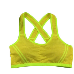 Padded High Stretch Sports Bra