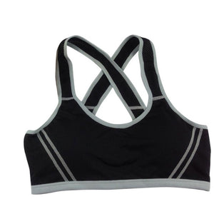 Padded High Stretch Sports Bra