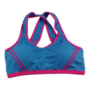 Padded High Stretch Sports Bra