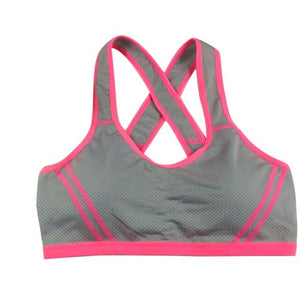 Padded High Stretch Sports Bra