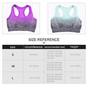 Sports Bra High Stretch Breathable