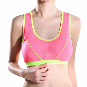 Solid Sports Bra